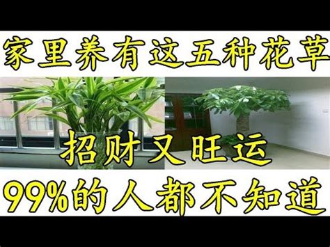 套房植物風水|風水師推薦：6種招財植物大公開